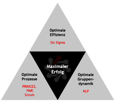 Dreieck des maximalen Erfolgs